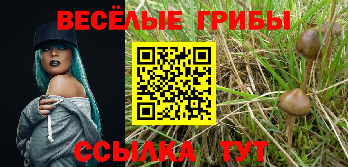 Галлюциногенные грибы мухоморы  Вход с VPN  Великий Устюг 